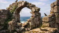 Ruínas e naufrágios esquecidos estão a virar refúgios de biodiversidade e os números surpreendem