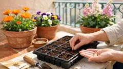 O que semear em fevereiro para ter flores no outono e inverno em Portugal