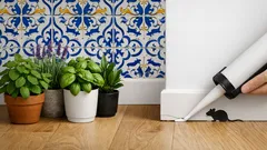 5 plantas aromáticas que ajudam a afastar ratos em casa (e ainda perfumam o ambiente)