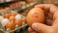 Ovos caseiros, biológicos ou do supermercado? Aprende a ler o código na casca