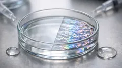 Pele sintética inspirada em polvos muda de textura e cor em segundos com água e álcool