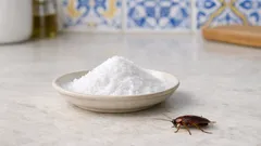 Bicarbonato e açúcar contra baratas: funciona mesmo ou é mito
