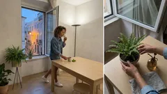 5 plantas para trazer boas energias para casa e aumentar o bem-estar