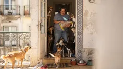 Síndrome de Noé: quando salvar animais se transforma em acumulação e sofrimento