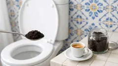 Borras de café na sanita: truque útil ou receita para entupimentos