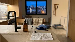 Mpox e animais de companhia: como proteger o seu cão ou gato em casa sem entrar em pânico