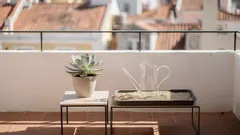 Plantas xeromórficas: o que são e como cuidar delas em casa