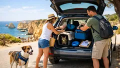 Viajar com cão ou gato no verão: 10 dicas para umas férias seguras e sem stress