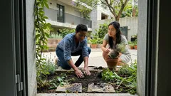 Levar uma muda do jardim: porque “só uma plantinha” pode dar problemas