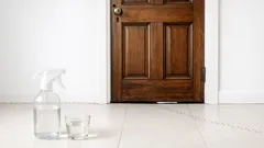 O truque do vinagre branco na porta de entrada para tirar cheiro a fechado