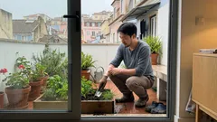 Melioidose: o que é, como se apanha e porque pode ser confundida com outras infeções