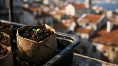 Como transformar tubos de papel higiénico em vasos biodegradáveis para sementeira