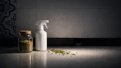 Como usar orégãos para afastar baratas da cozinha de forma natural