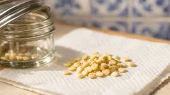 Como plantar sementes de pimento e ter uma horta em casa (sem complicar)